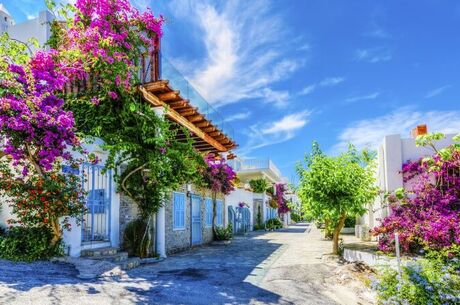 UÇAKLI EGE'NİN KÖYLERİ TURU