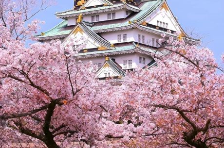 JAPONYA & KORE TURU (KOYO ZAMANI)