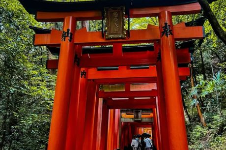 JAPONYA & KORE TURU (KOYO ZAMANI)