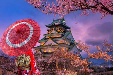 JAPONYA & KORE TURU (KOYO ZAMANI)