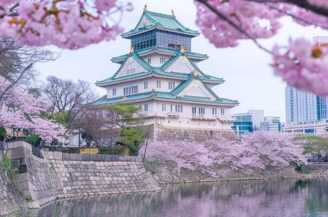 JAPONYA & KORE TURU (KOYO ZAMANI) YENİ