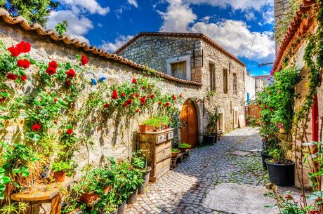 RAMAZAN BAYRAMI UÇAKLI KUZEY EGE (Kazdağları, Çanakkale) TURU