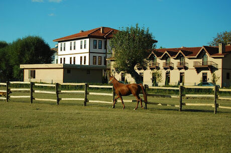 BATI KARADENİZ TURU 2026