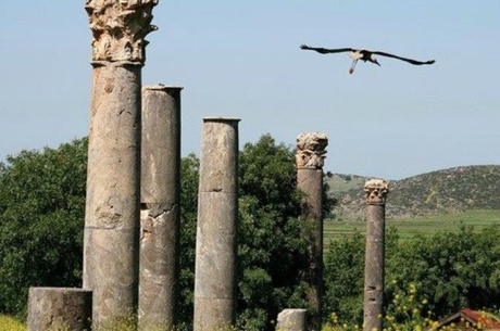 OSMANİYE VE ÇEVRESİ TURU